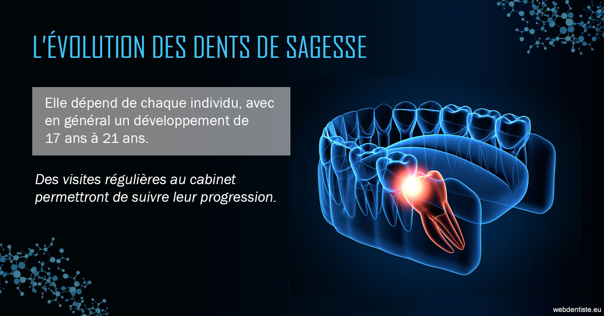 https://www.clinique-dentaire-lugari-garlaban.fr/2023 T4 - Dents de sagesse 01