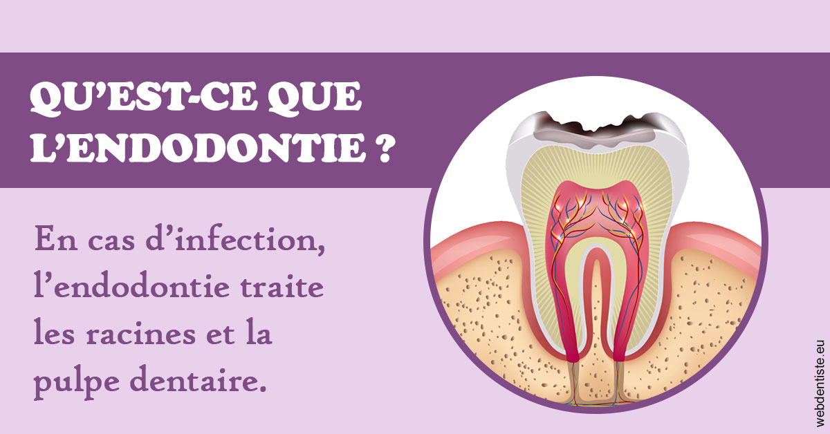 https://www.clinique-dentaire-lugari-garlaban.fr/2024 T1 - Endodontie 02