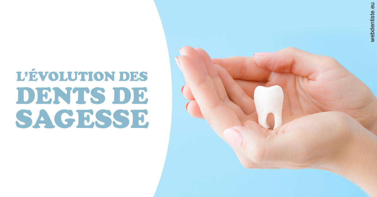 https://www.clinique-dentaire-lugari-garlaban.fr/Evolution dents de sagesse 1
