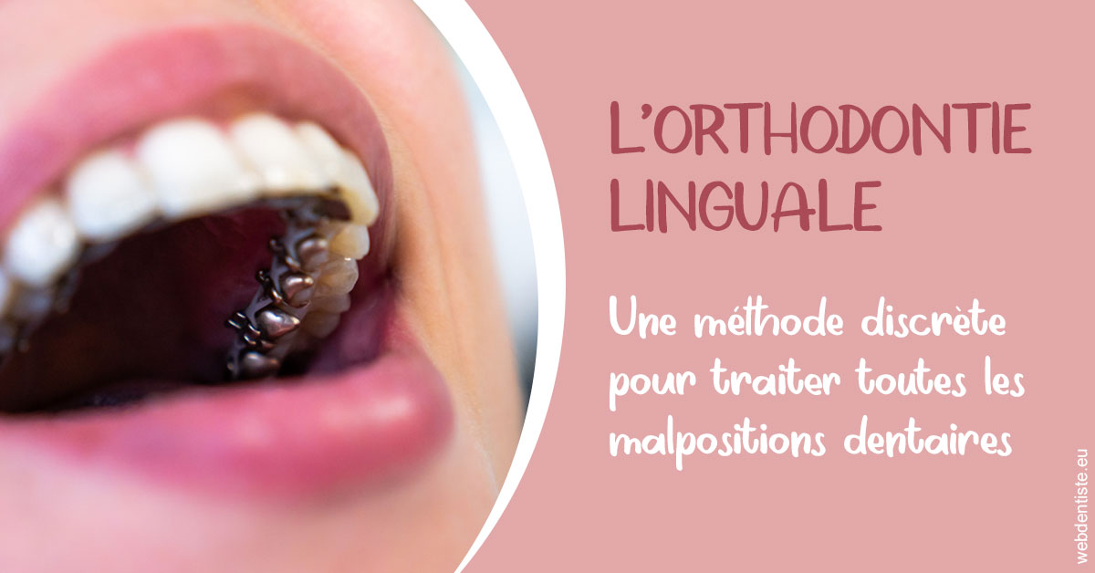 https://www.clinique-dentaire-lugari-garlaban.fr/L'orthodontie linguale 2