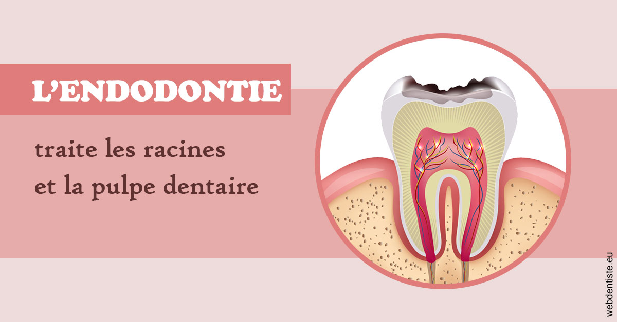 https://www.clinique-dentaire-lugari-garlaban.fr/L'endodontie 2