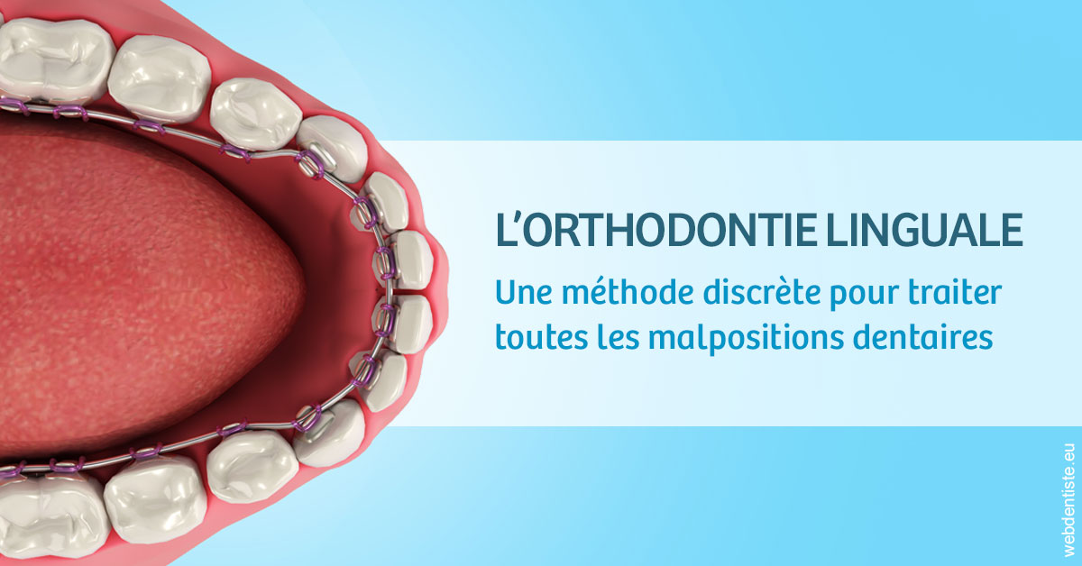 https://www.clinique-dentaire-lugari-garlaban.fr/L'orthodontie linguale 1