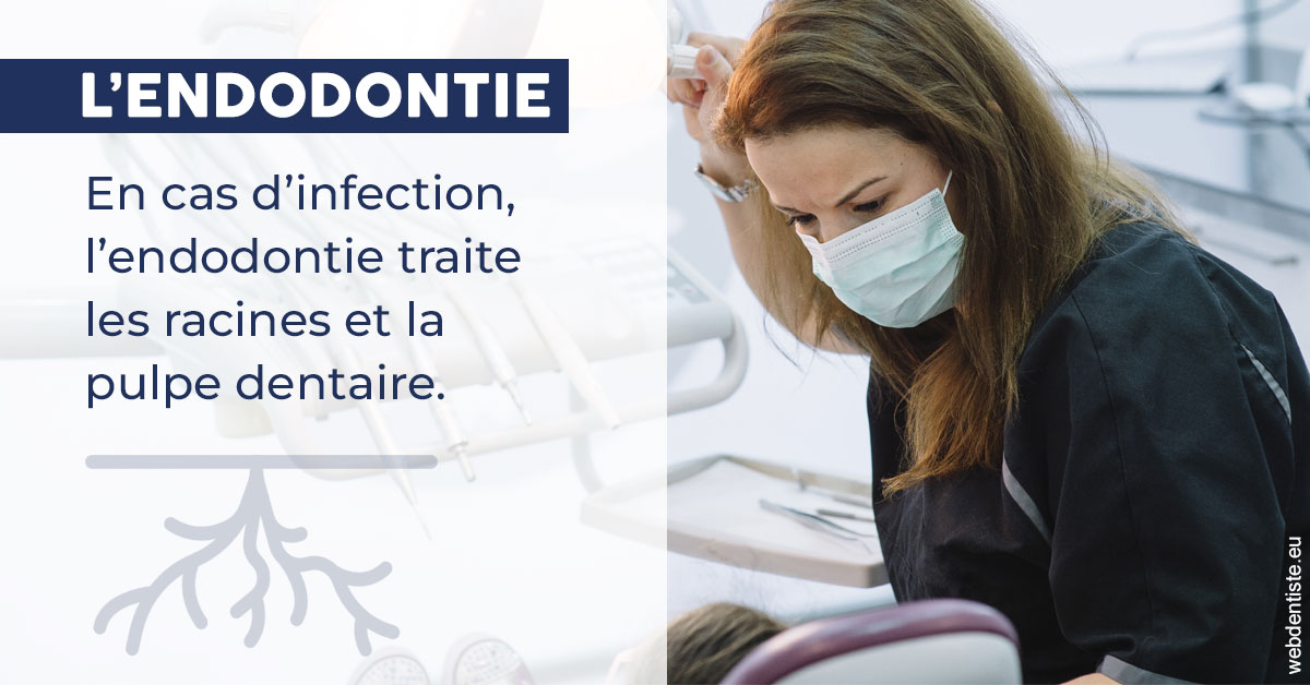 https://www.clinique-dentaire-lugari-garlaban.fr/L'endodontie 1