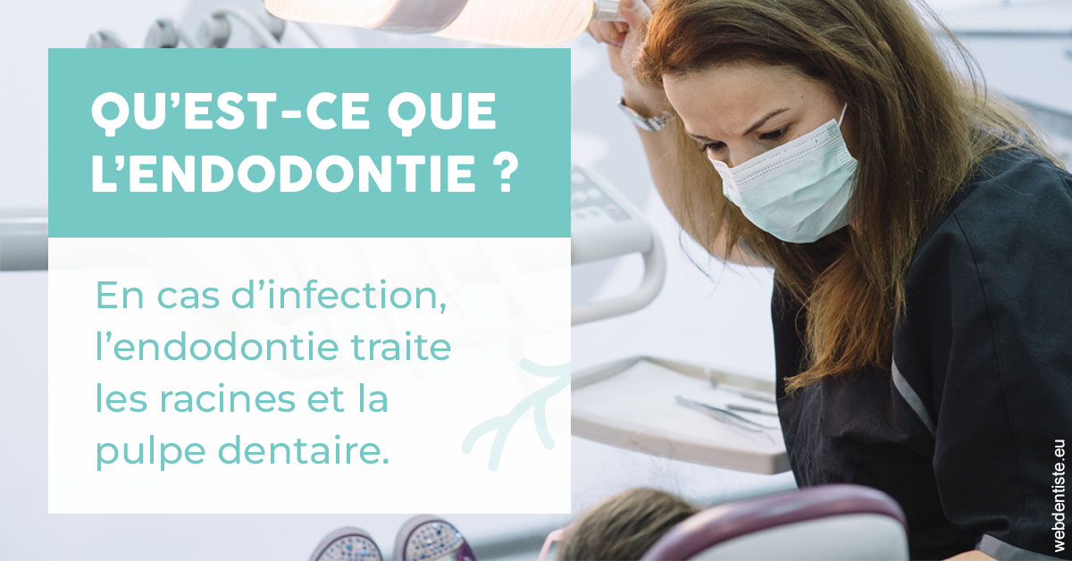 https://www.clinique-dentaire-lugari-garlaban.fr/2024 T1 - Endodontie 01
