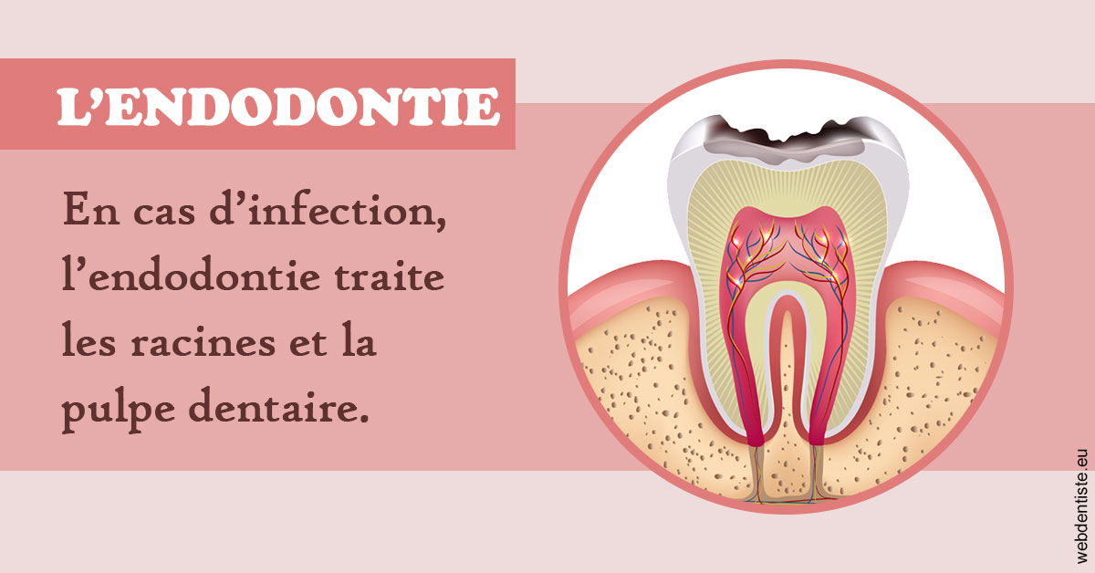 https://www.clinique-dentaire-lugari-garlaban.fr/L'endodontie 2